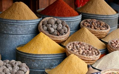 NOUS CURSOS D’HORT URBÀ, PLANTES AROMÀTIQUES i MEDICINALS !!!