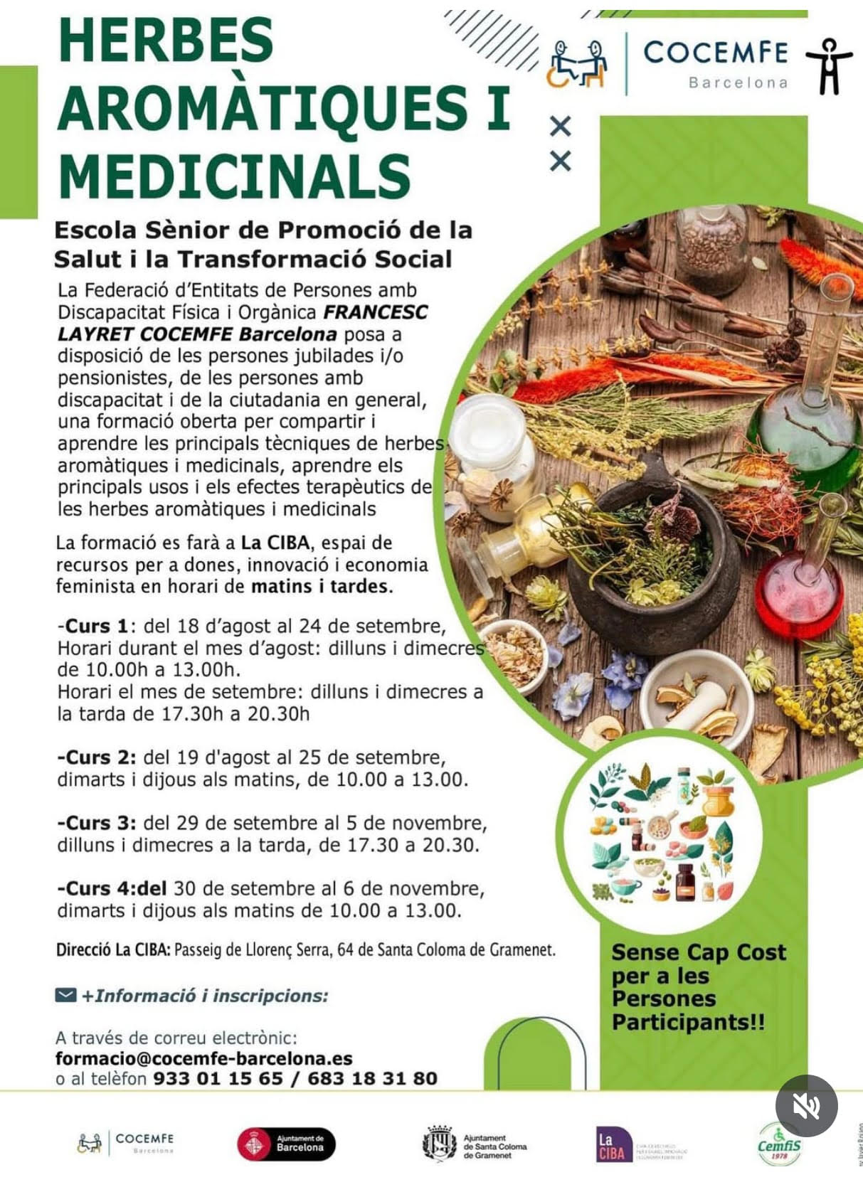 Herbes aromàtiques medicinals